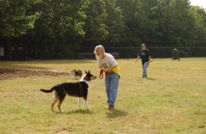 Dog Parks near your Charlottesville Apartment