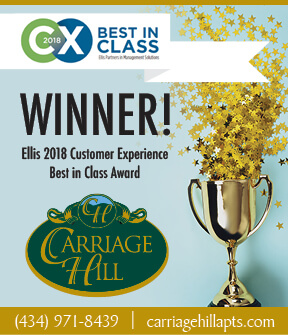 Ellis 2018 Customer Experience Best in Class Award!