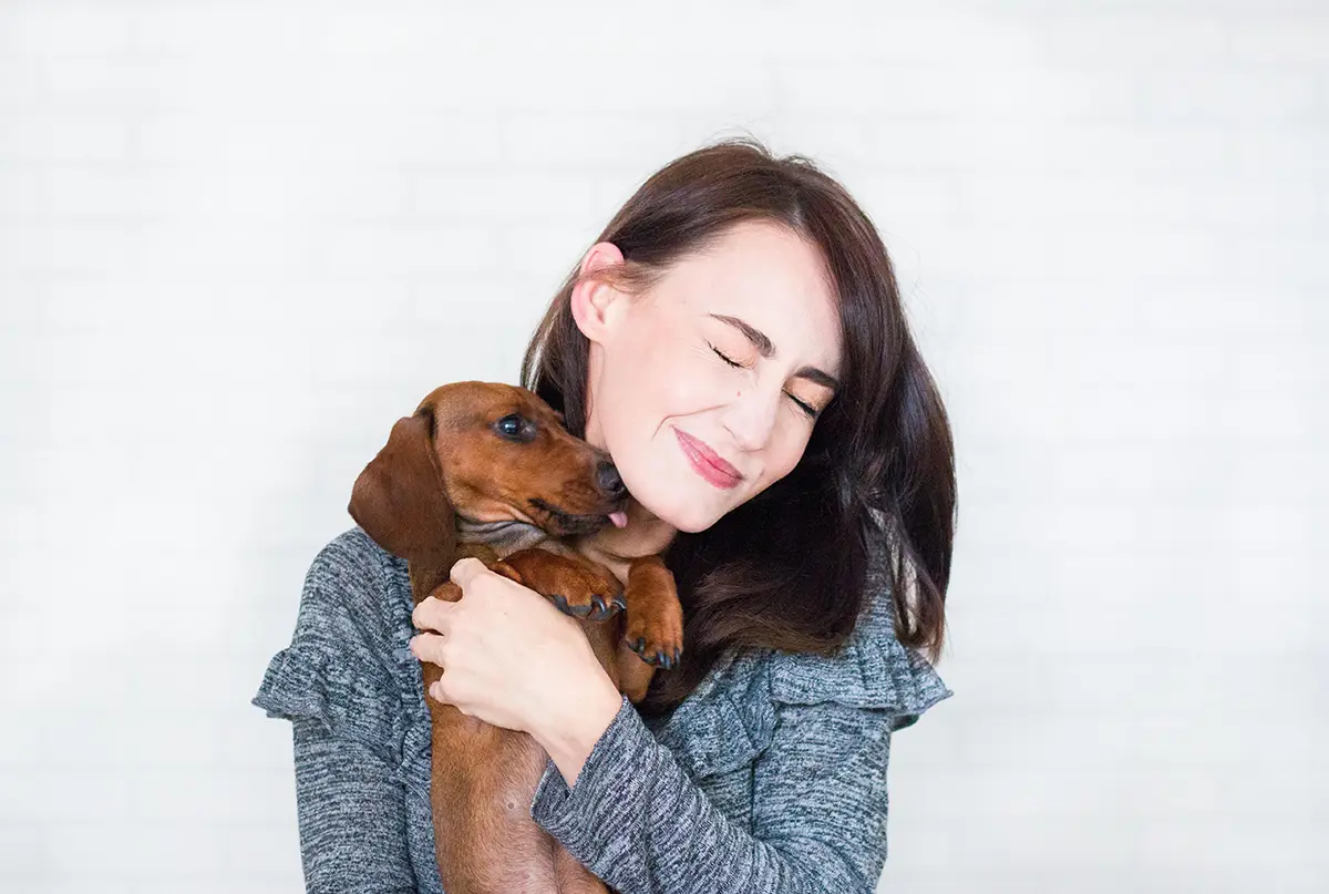 A Local’s Survival Guide to Pet Care in Charlottesville, VA
