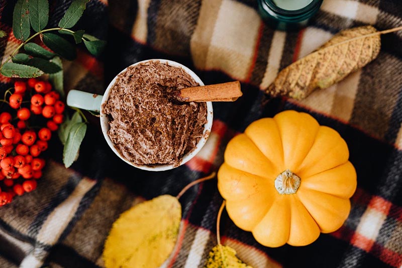 Pumpkin Smoothies to make in your Charlottesville apartment