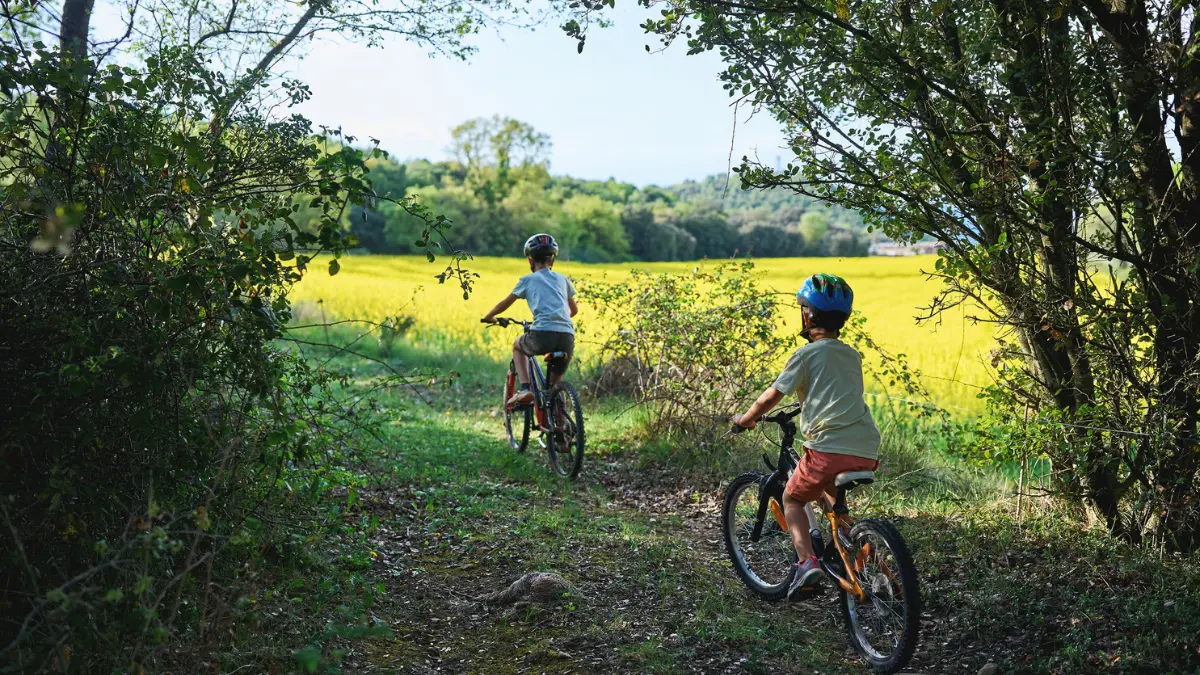 Explore Charlottesville: The Best Free Things to Do